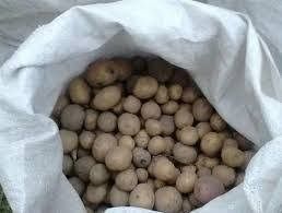 Дрібна  картопля