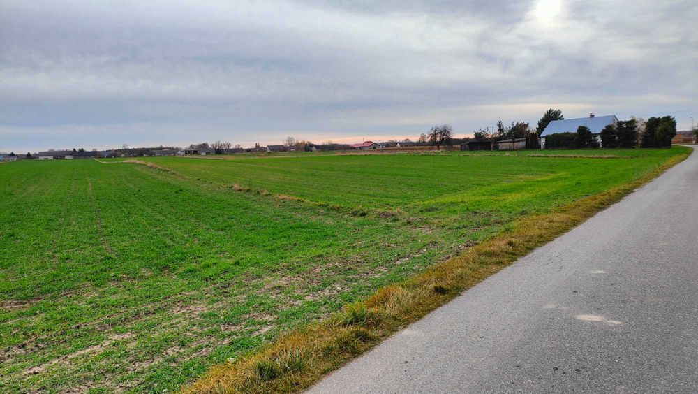 Działka budowlana Krosno gm. Gorzkowice pow. piotrkowski woj. łódzkie