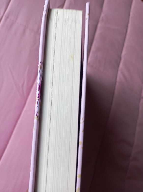 Isto Acaba Aqui (Edição Colecionador) - Colleen Hoover