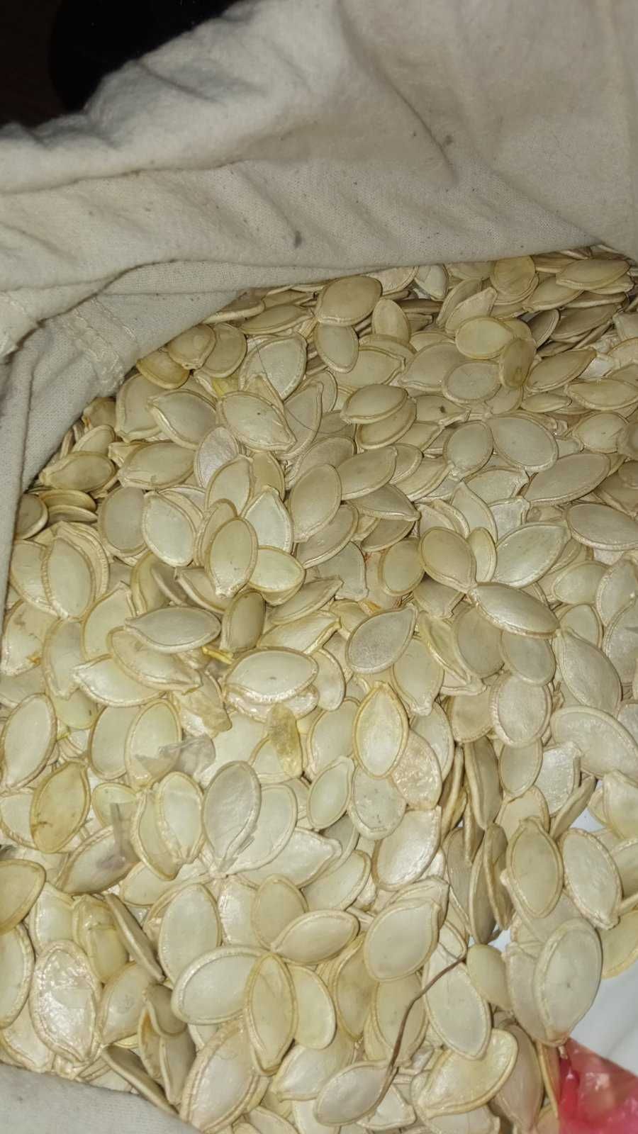 Сортове сире гарбузове насіння гарбуза семечка тыквы, 100 грам