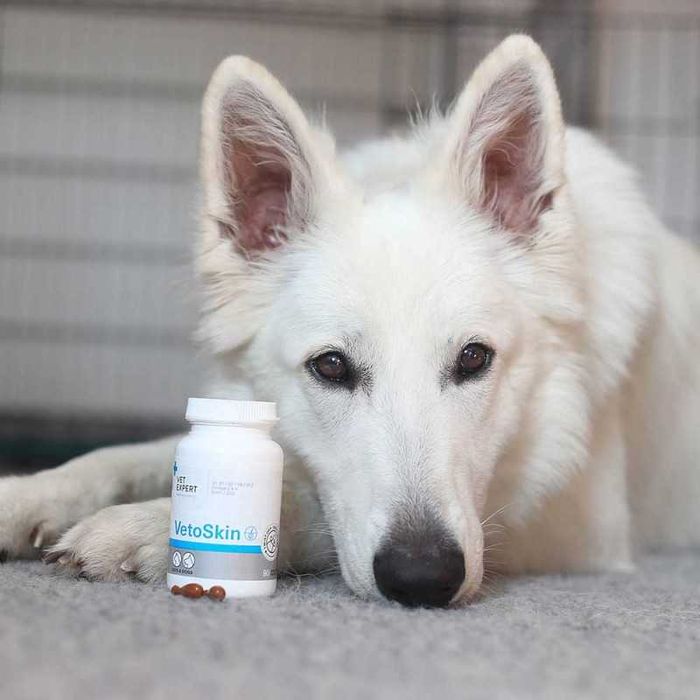Vet expert VetoSkin TwistOff na Skórę dla psa 60 kapsułek