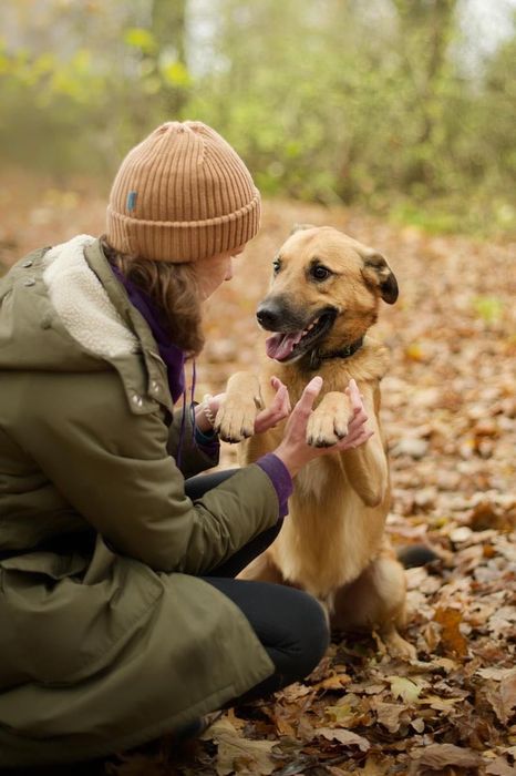 Dexster pomóż mu zaufać
