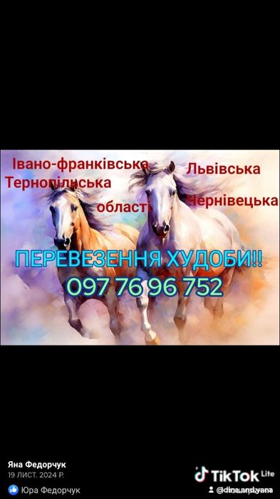 Корови коні корови