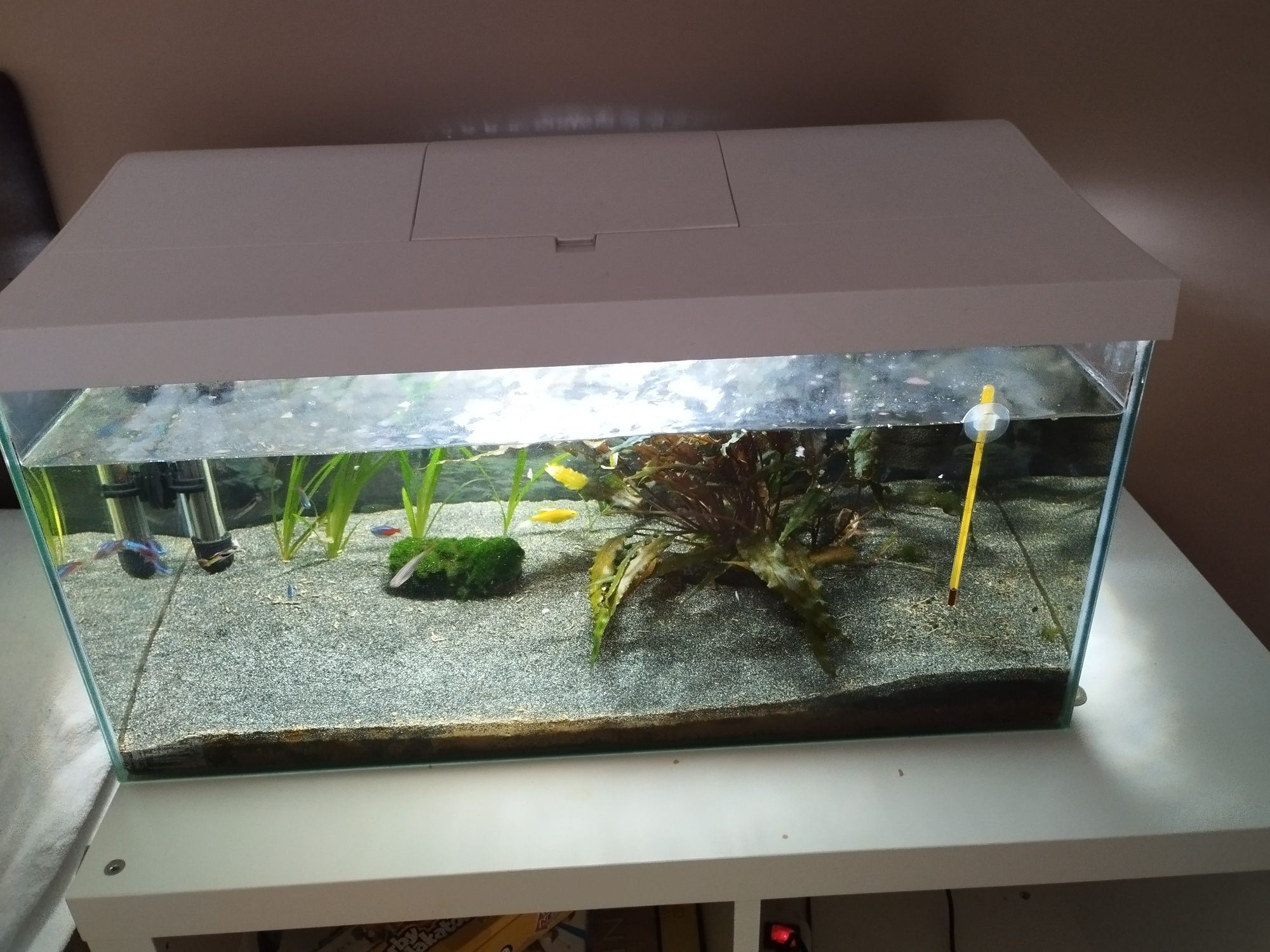 Akwarium 56litrow