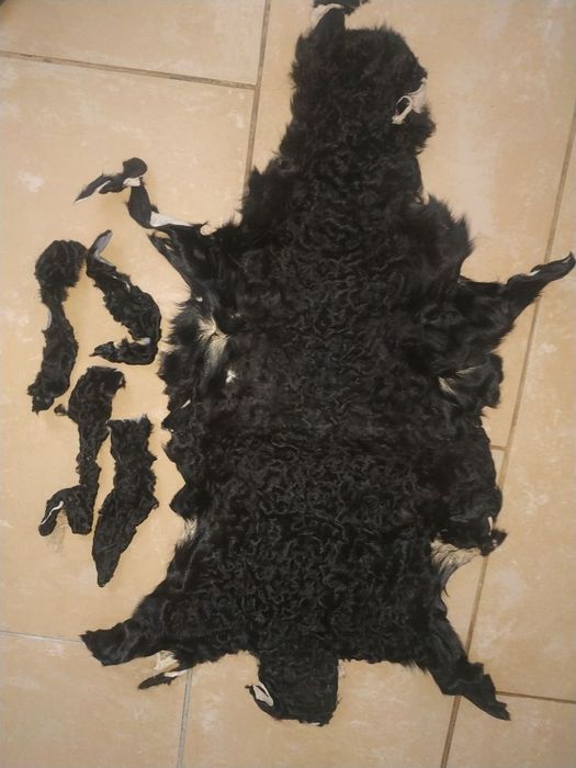 Продам шкуры овчинка