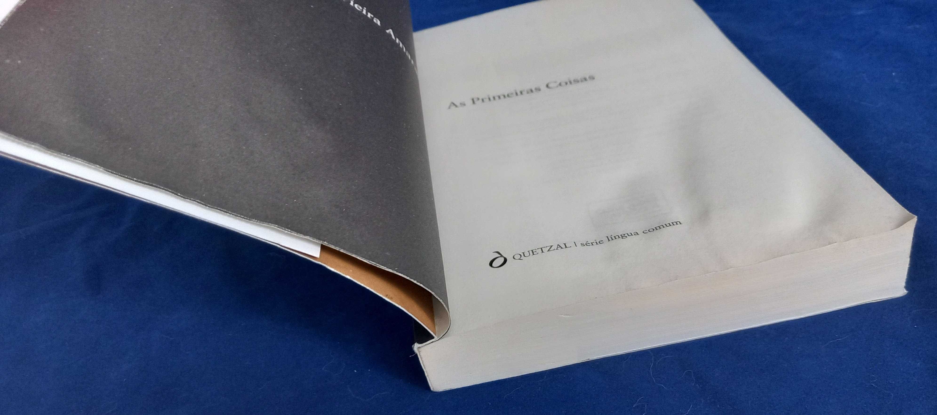 Livro As Primeiras Coisas de Bruno Vieira Amaral [Portes Grátis]