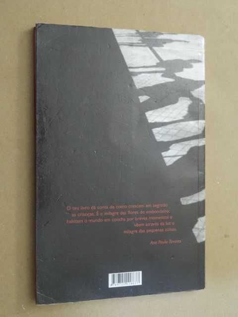 Os da Minha Rua de Ondjaki