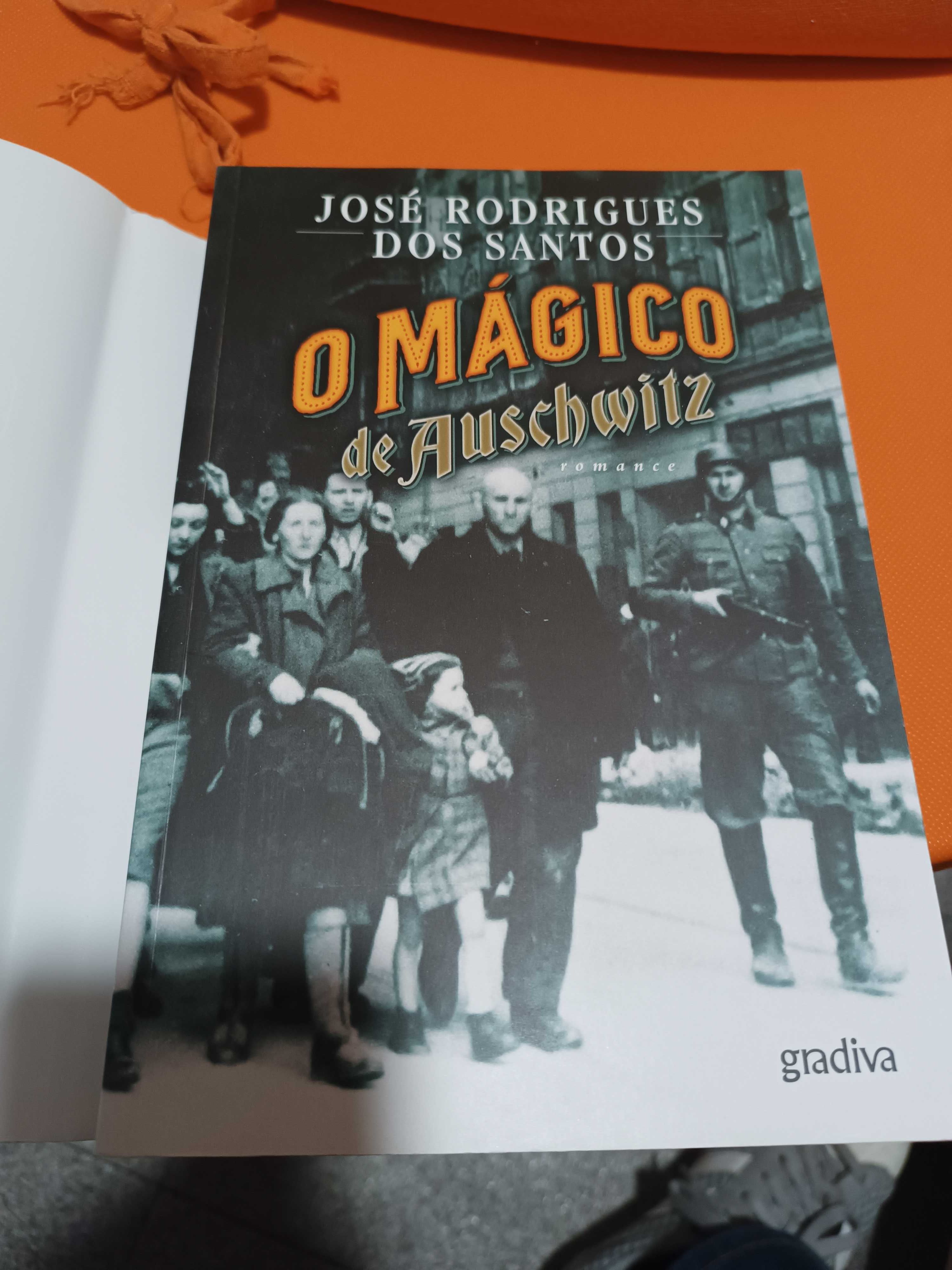 Livro de José Rodrigues dos Santos O MÁGICO NOVO