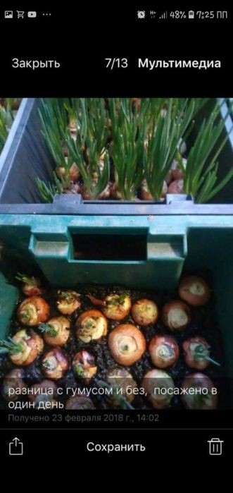 Биогумус ( Вермикомпост)