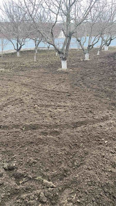 Перекопка огорода участка, культивация мотоблоком,уборка. Покос, спил