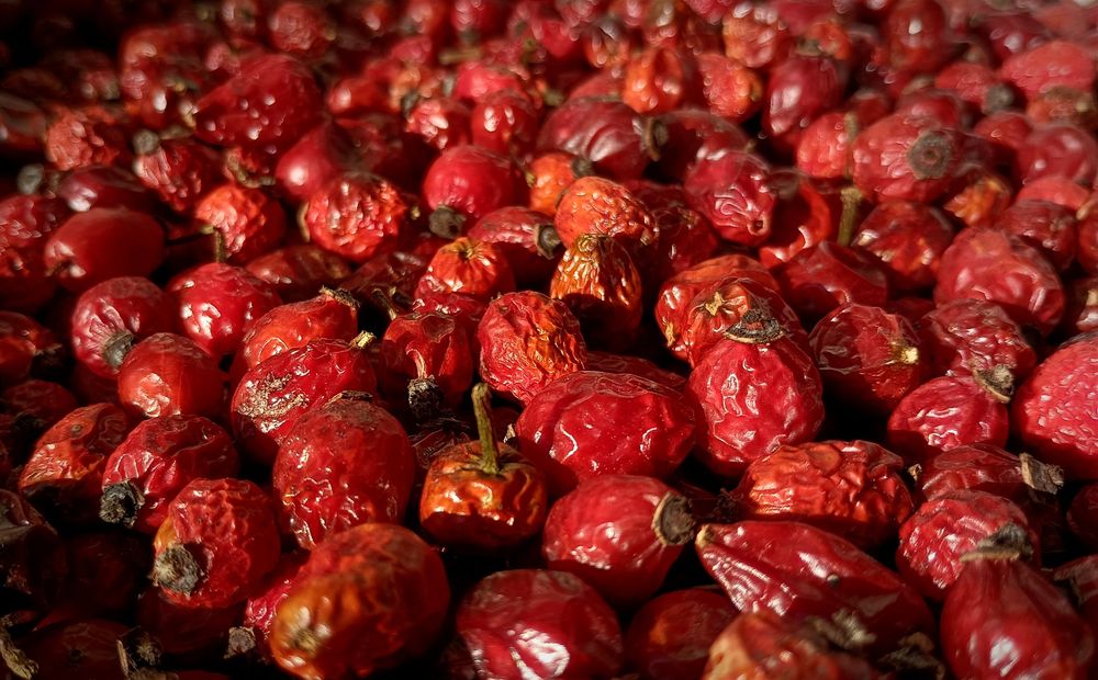 Шипшина  сушена шиповник