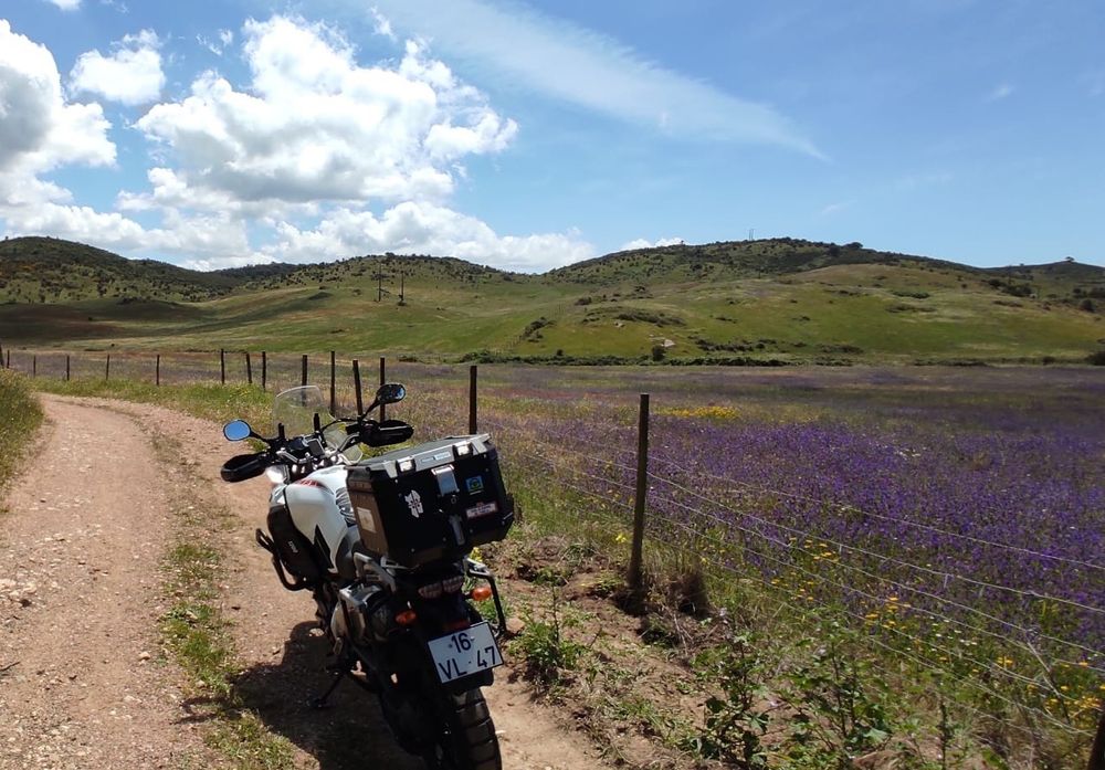 Yamaha Super Tenere World Crosser