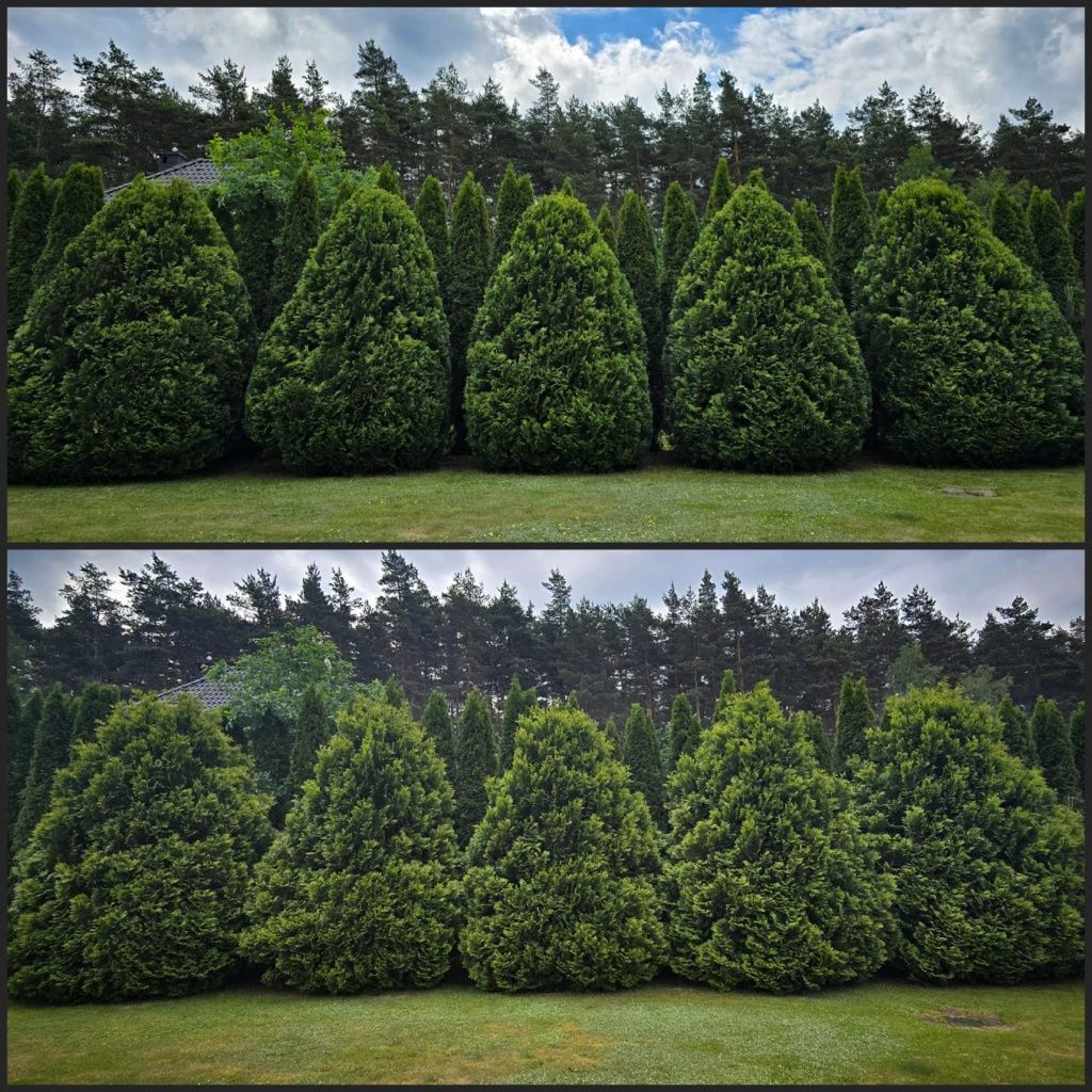 Ogrodnik, prace ogrodnicze, przycinanie drzew krzewów, koszenie trawy