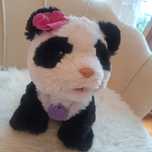 Panda interaktywna Hasbro FurReal Pom Pom