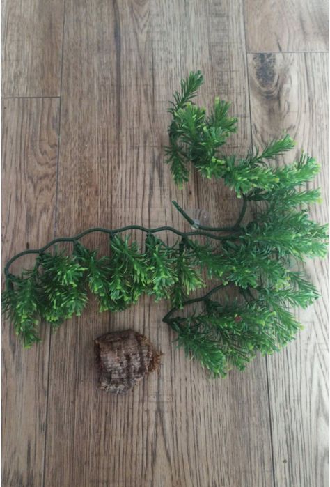 Akcesoria do terrarium