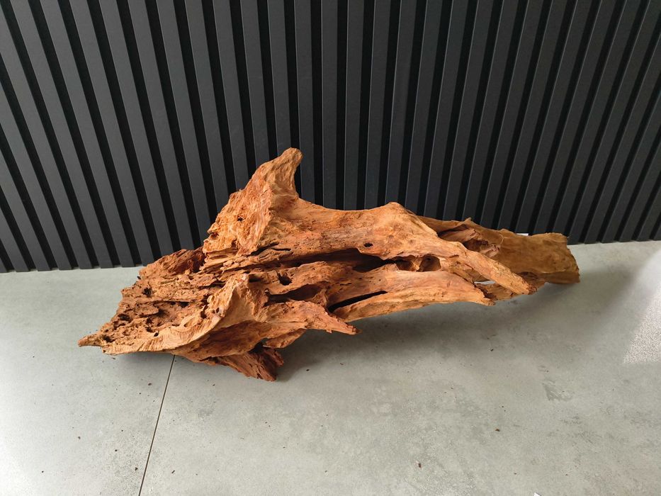 Korzeń MANGROWCA XXL 1002 akwarium terrarium 96x35x48 Unikat Duży