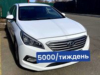 Оренда авто Київ 5000 грн Hyundai elantra
