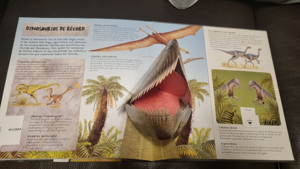 Livro Dinossauros desdobrável