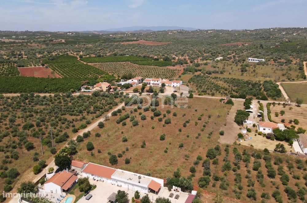 Terreno em Lavajo, S.B.Messines c/ furo e mais de 8 hact