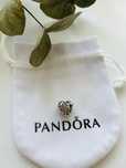 Nowy charms do bransoletki PANDORA