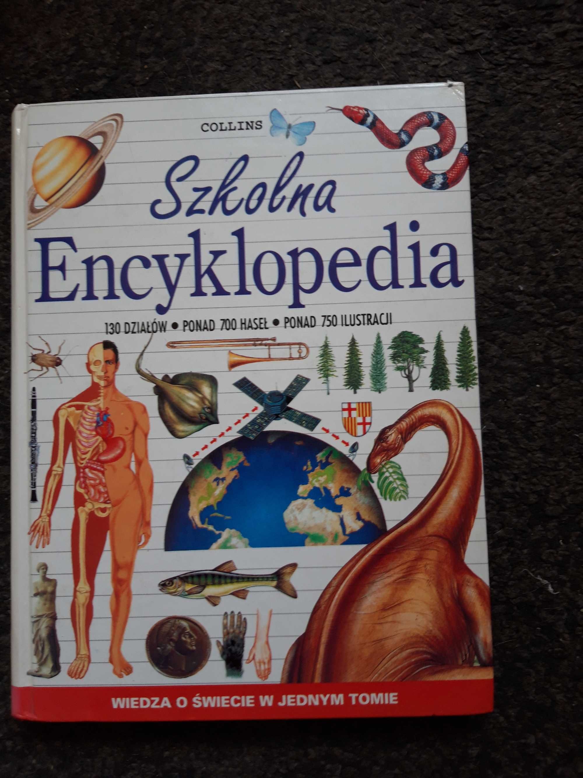 Szkolna encyklopedia o świecie