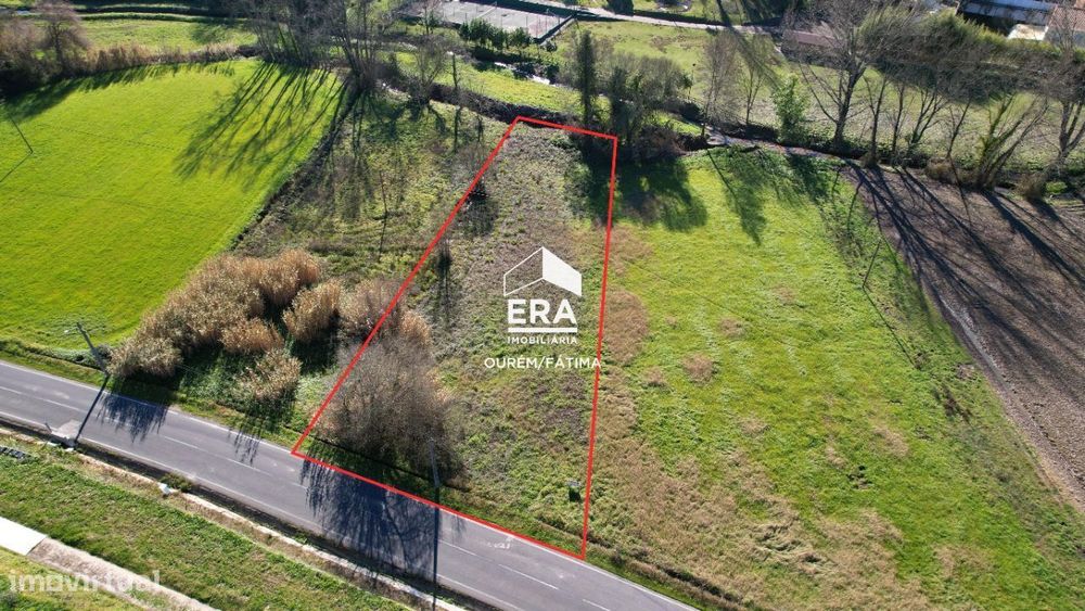 Terreno Rústico na Conceição, Olival