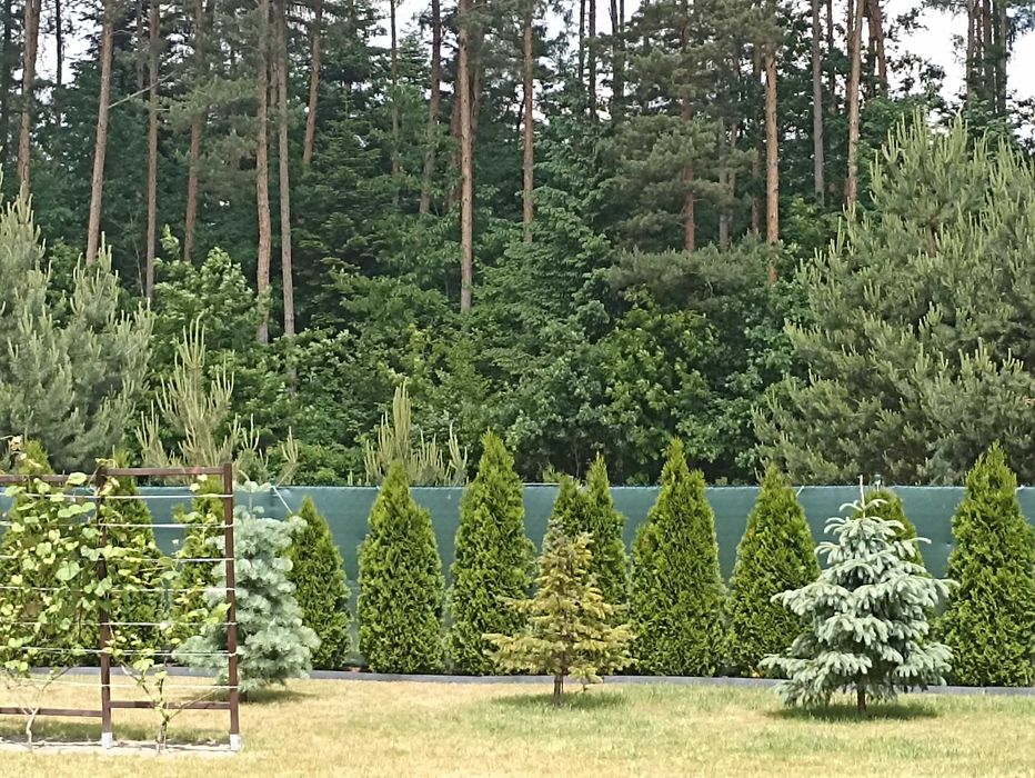 Domek letniskowy z piękną działką