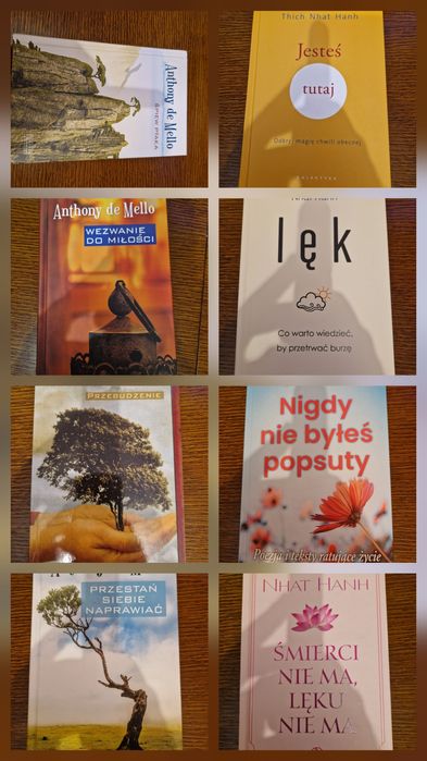 Zestaw 24 książek rozwój osobisty