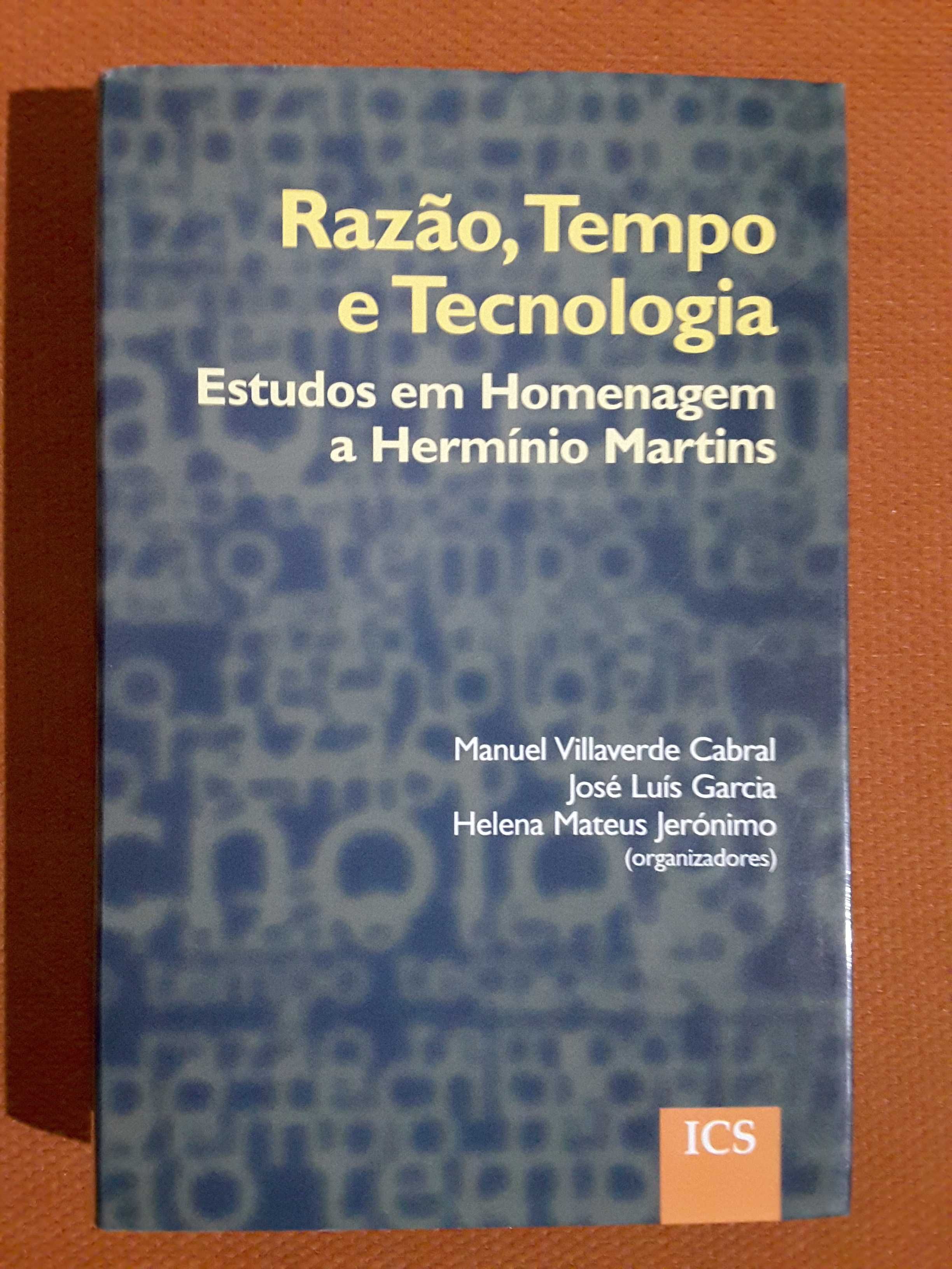 Estudos Homenagem a Hermínio Martins/ Ernst Junger: Journal 1965/1970