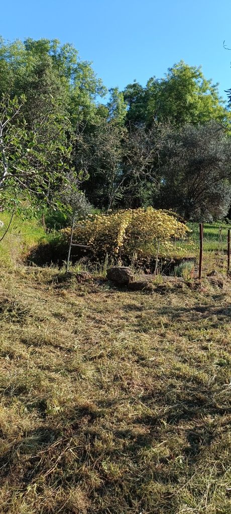 Terreno com 2,500m2 aldeia de santa Margarida castelo branco