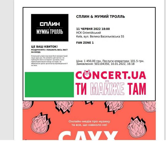 Два билета на концерт СПЛИН и МУМИЙ ТРОЛЛЬ
