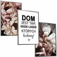 Piwonie DOM same plakaty 40x50