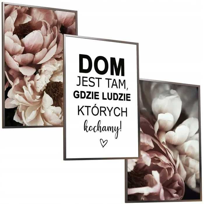 Piwonie DOM same plakaty 40x50