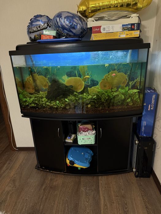 Продам акваріум, рибки, компресор