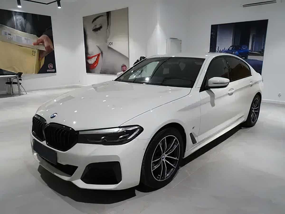 BMW Seria 5 520d xDrive mHEV