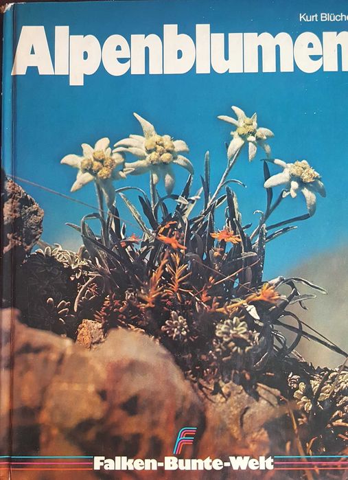Livro Alpenblumen, de Kurt Bluchel, em alemão - 1977
