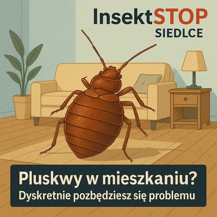 Likwidacja pluskiew. Odpluskwianie. Skutecznie z Gwarancją. InsektSTOP