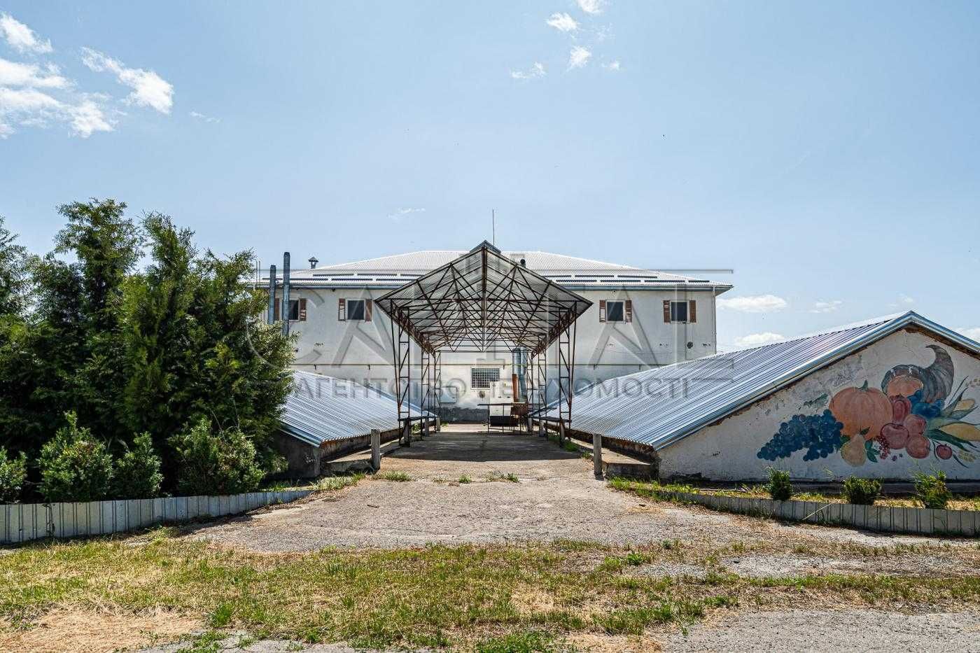Продажа фермы, с. Русанов, Броварской р-н