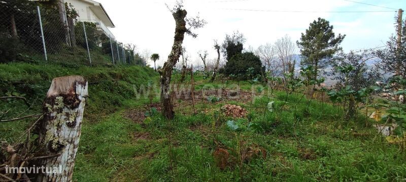 Terreno / Marco de Canaveses, Várzea, Aliviada e Folhada