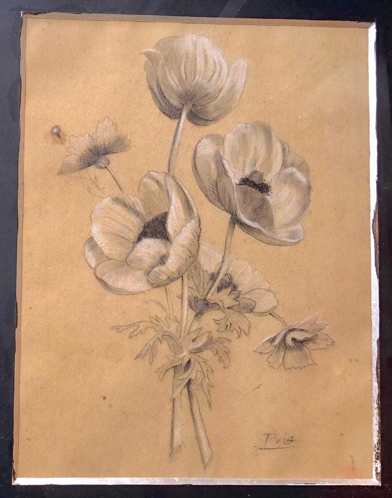 "Flores". Lápis sobre papel.