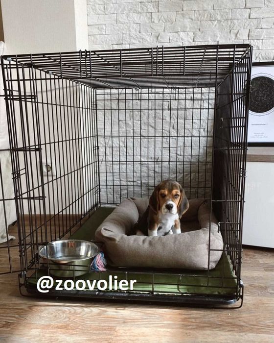 Клетка клітка вольер переноска домик место для собак кошек птиц. Киев