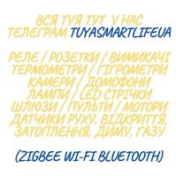 Розумний сенсорний вимикач Tuya Smart Life 1-2-3 кнопки ч/б (Wi-Fi)