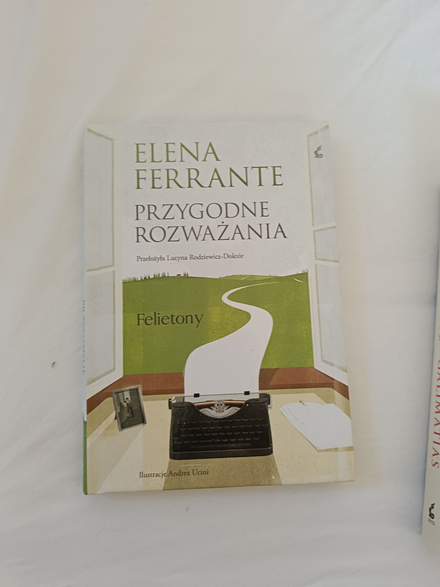 Przygodne rozważania, Elena Ferrante felietony