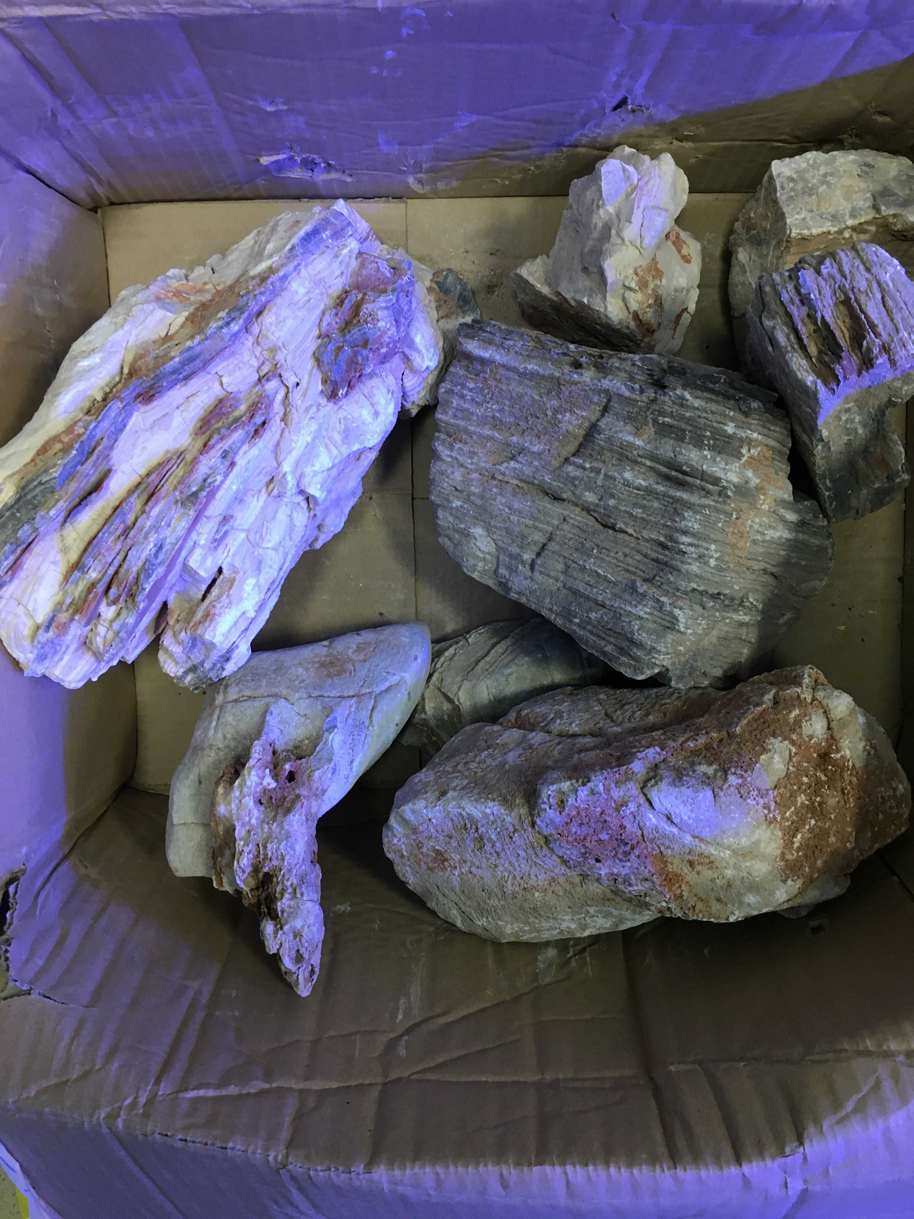 Naturalne skały do akwarium - ciekawe wzory i kształty - cena za 1kg