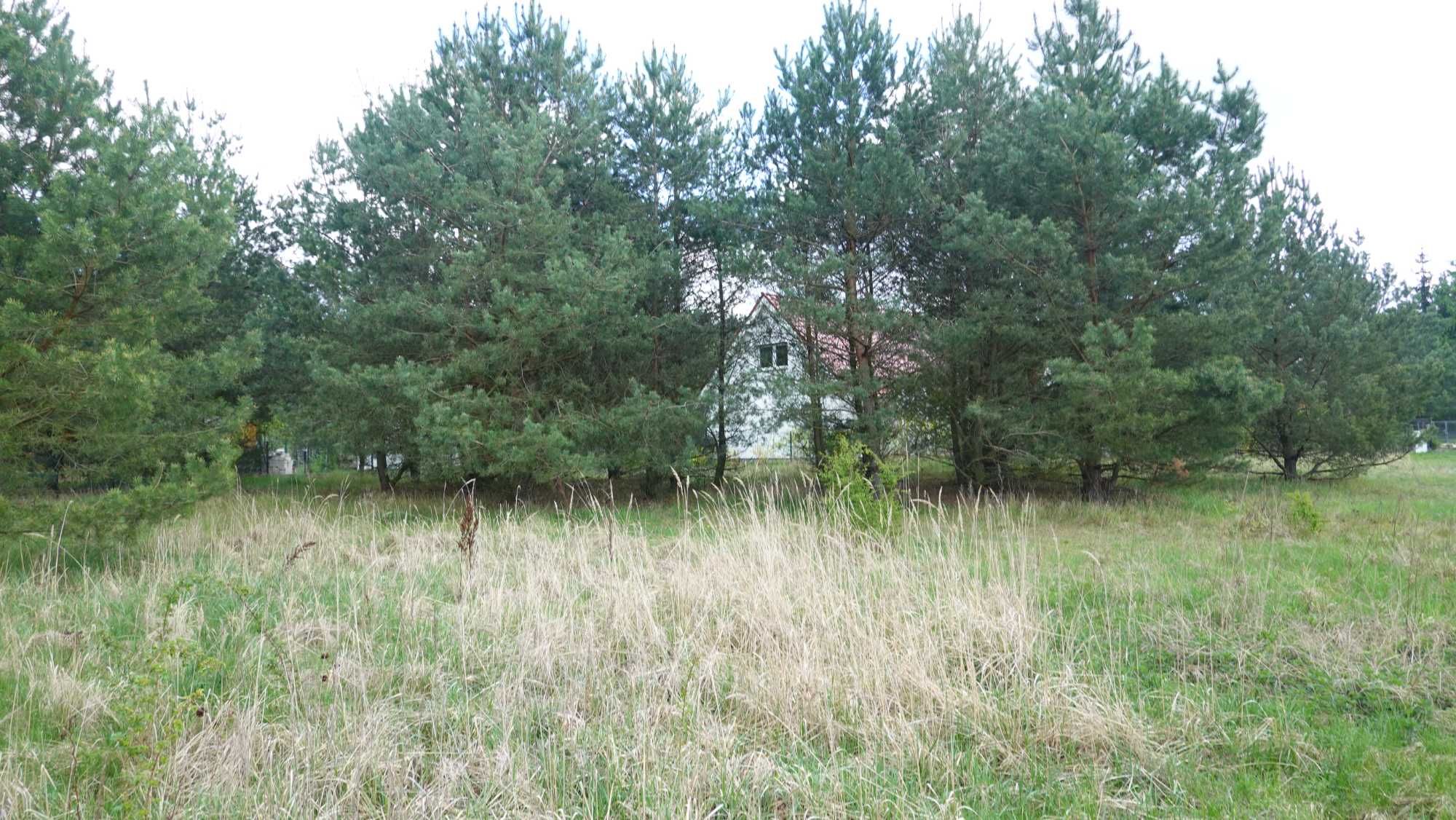 Wylatkowo działka