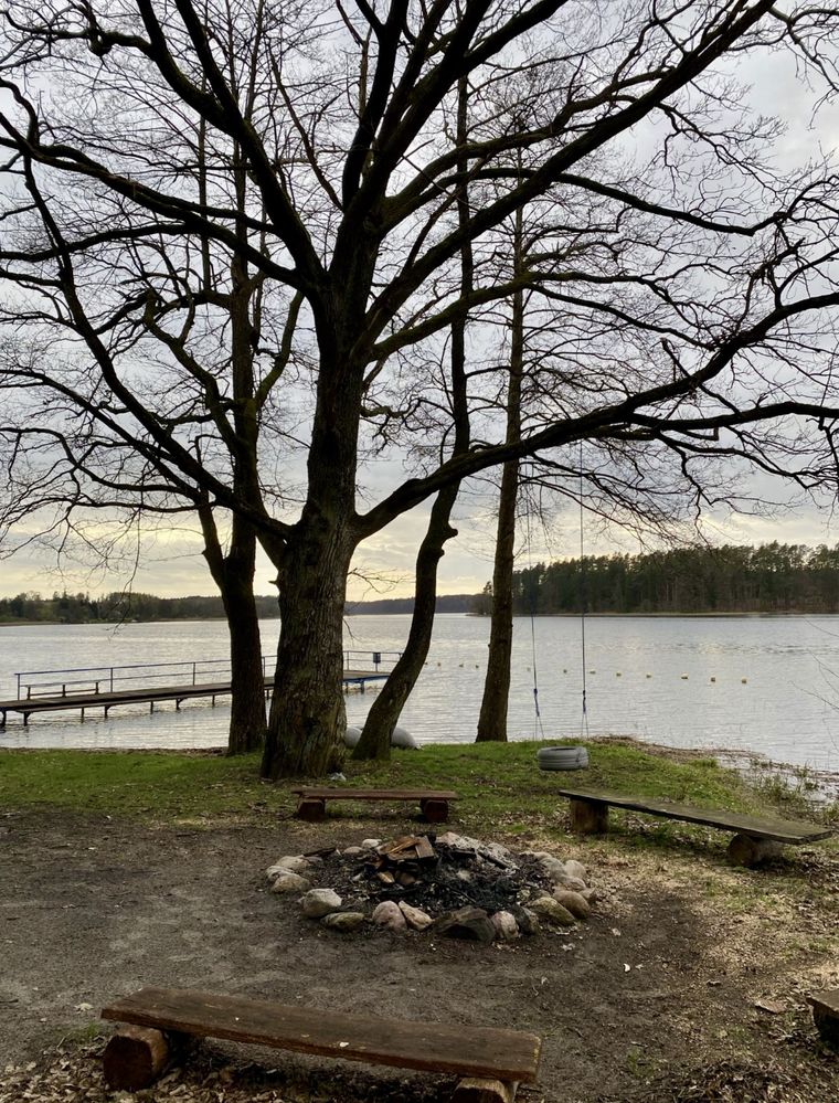 "Brzozówka" domek letniskowy Makowo k.Iławy jezioro Mazury, las