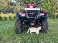 Kład Suzuki Kingquad