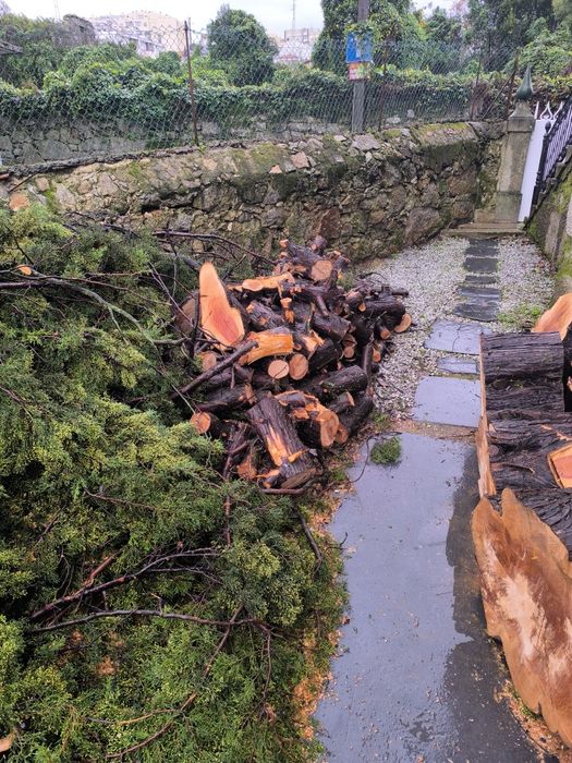 Vendo lenha de cedro