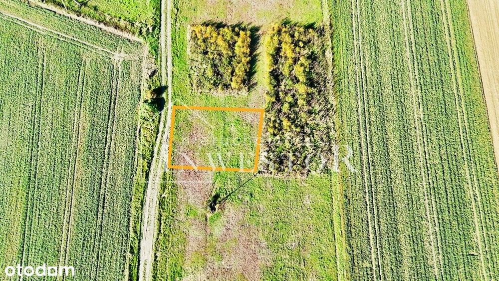 Działka budowlana w Zielęcicach kl. Brzegu