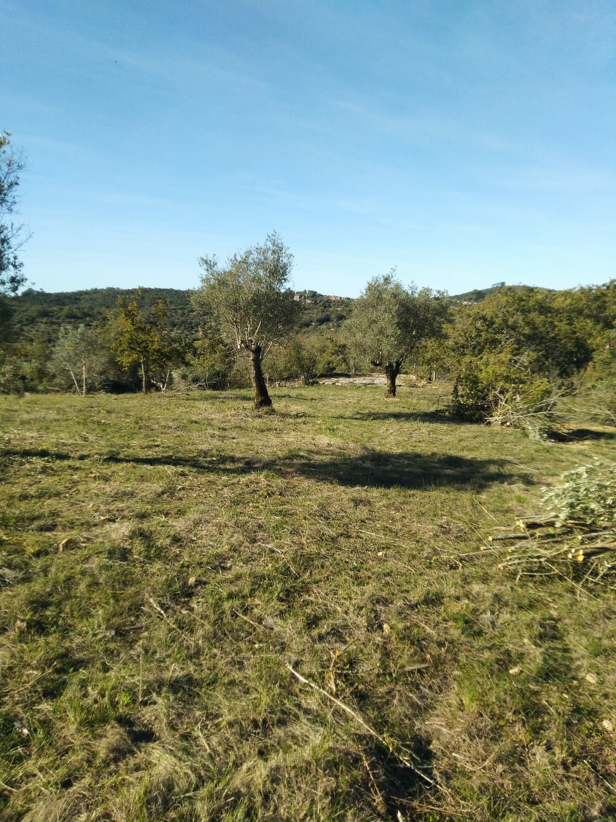 Limpezas de terrenos e construção civil